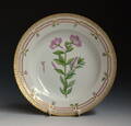 Royal Copenhagen. Flora Danica tallerken, nr. 3549