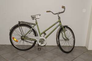 Damcykel FRAM 25 tum