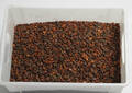 Samling ravklumper - ca. 2950 gram