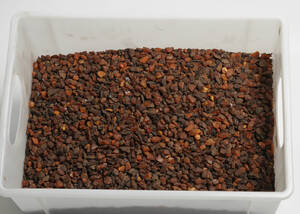 Samling ravklumper - ca. 2950 gram