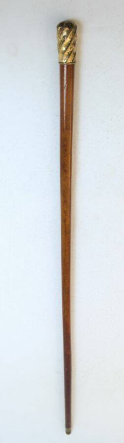 Spatserkäpp, 1800-tal