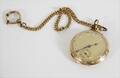 Fickur, 14k