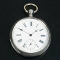 FICKUR silver
