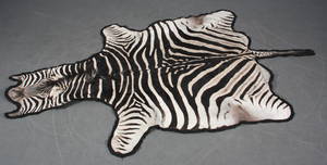 Zebraskind.