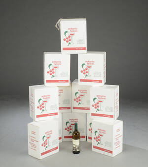72 fl. Antonio Failoni Verdicchio Classico 2009 Italien 72