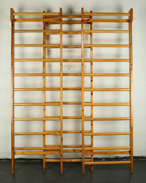 Tre gymnastik ribbe 3