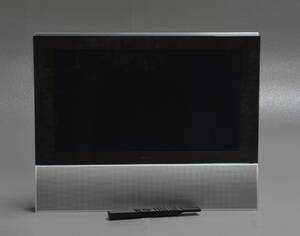 Bang Olufsen fladskærm