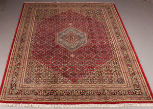 Kashmir Bidjar 350 x 244 cm