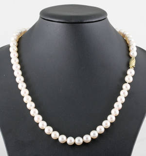 1 strand akoya pearl necklace