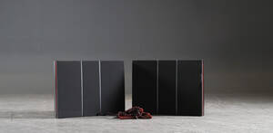 Bang  Olufsen, högtalare ett par Type 6503 2