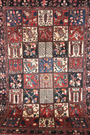 Matta, Bakhtiari, 310x225 cm