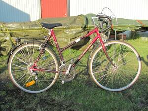 DAMCYKEL CRESENT RACE BIKE 12VXL- BRA SKICK