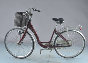 Kildemoes, damecykel.