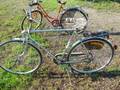 HERRCYKEL REGENT 3VXL