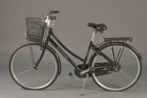 Kildemoes, damecykel. 7004