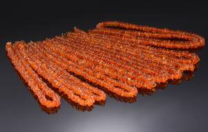 Samling ravkæder 10