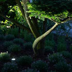 Parkhavebed belysning, fem LED-lamper Denne vare er sat til omsalg under nyt varenummer 4908368