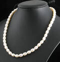 Fresh water pearl necklace in gold 