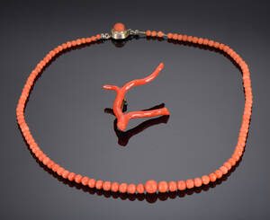 Halskæde og broche af koral