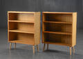 Par reoler af eg 2