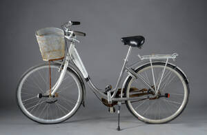 Kildemoes, damecykel.