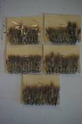 60st Bodex Shrimp Flugor 189
