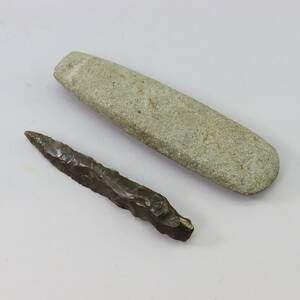 Stenyxa