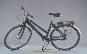 Raleigh, damecykel.