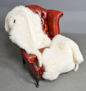 2 hvide danske lammeskind 2