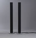 Bang  Olufsen, Et par BeoLab 6000 højttalere 2 