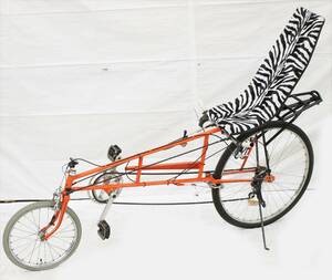 Liggcykel, märkt MS96