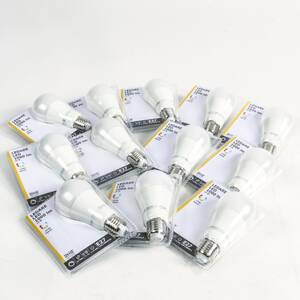 LED LJUSKÄLLA, 12st Ledare