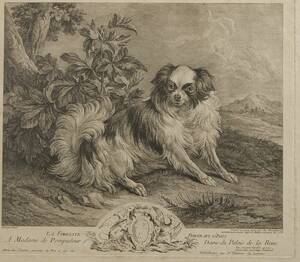 Gravyr, Portrait dínes