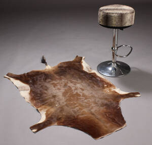 Barstol samt afrikansk skind 2