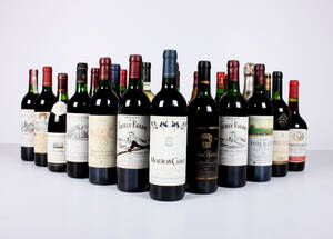 27 fl. diverse vin 27