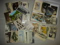 Samling postkort