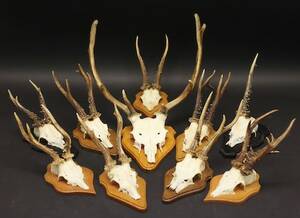 Troféer