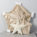 BARNSTAR, 3 st, plåt