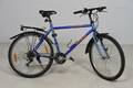 Herrcykel Trek