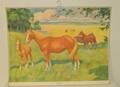 Skolplansch Hästar 1937 95x73cm