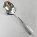 SLEV, Silver
