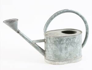 Vattekanna med stril, 1900-tal