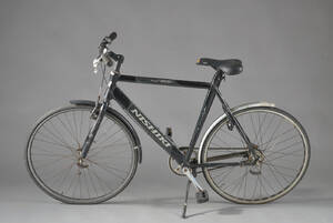 Nishiki, damecykel.