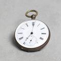 FICKUR, silver