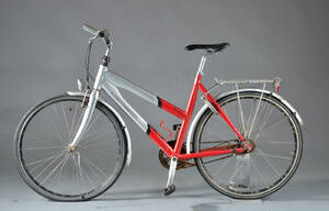 Kildemoes, damecykel.