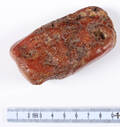 Ravklump. 79 gr.