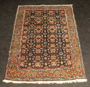 Teppich Bidjar, 205 x 143 cm