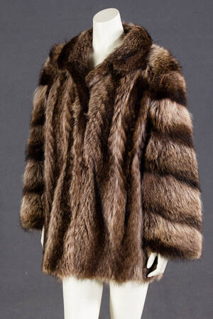 Jacke, Waschbär