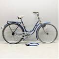 Damcykel