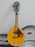 Mandolin i väska, Levin